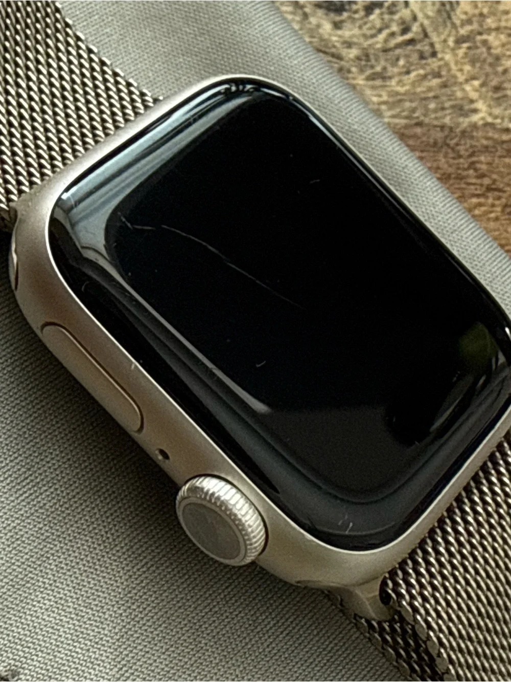 Apple Series 9 Smartwatch with Milanese Band